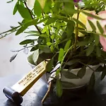 斯皮纳里酒店 4*