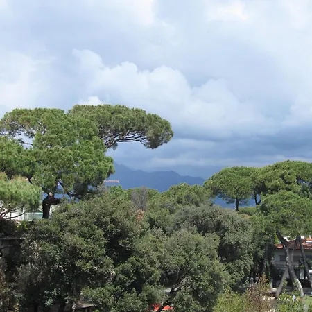 ホテル President 4*