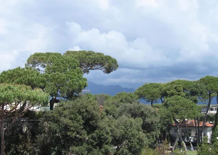 酒店 斯皮纳里酒店 4*