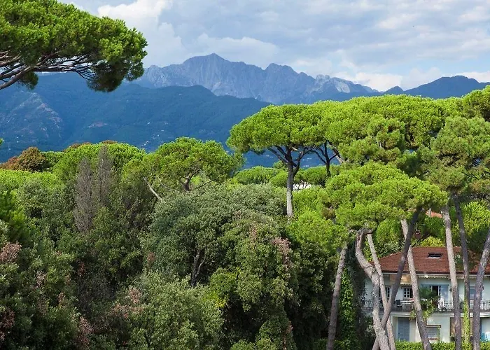 斯皮纳里酒店 酒店 4*